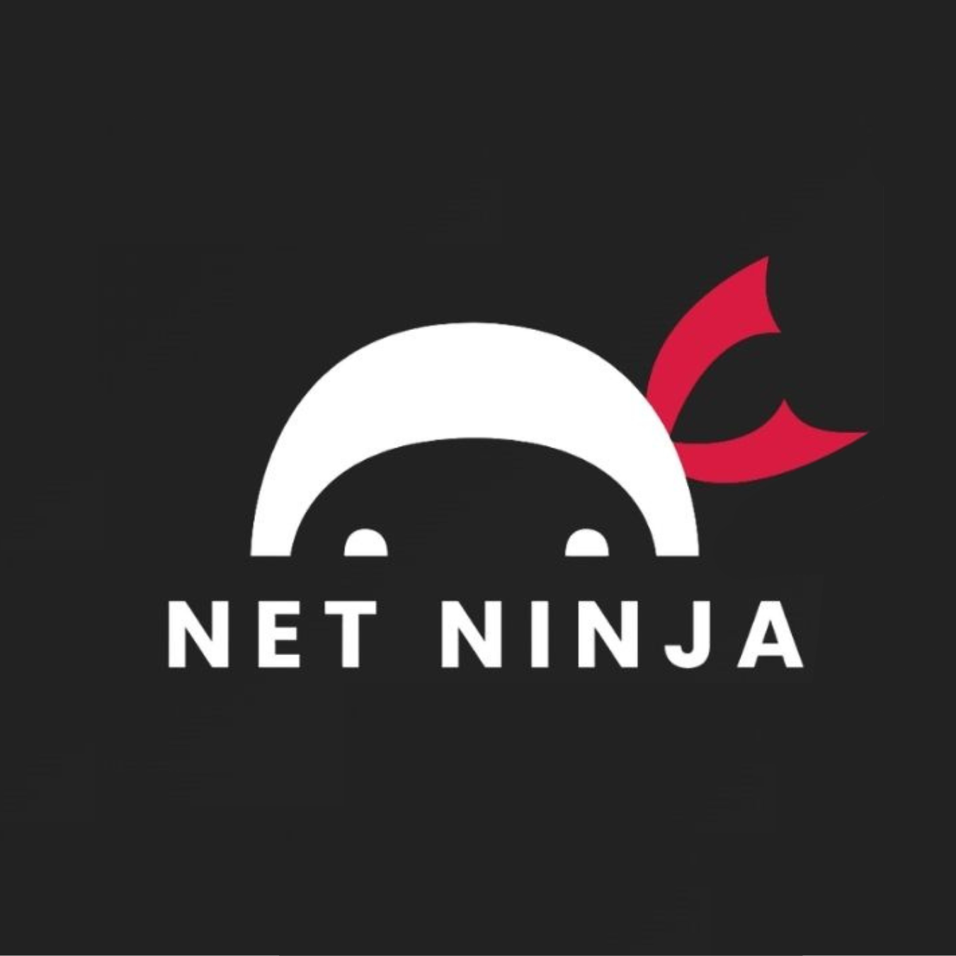 Net Ninja logo