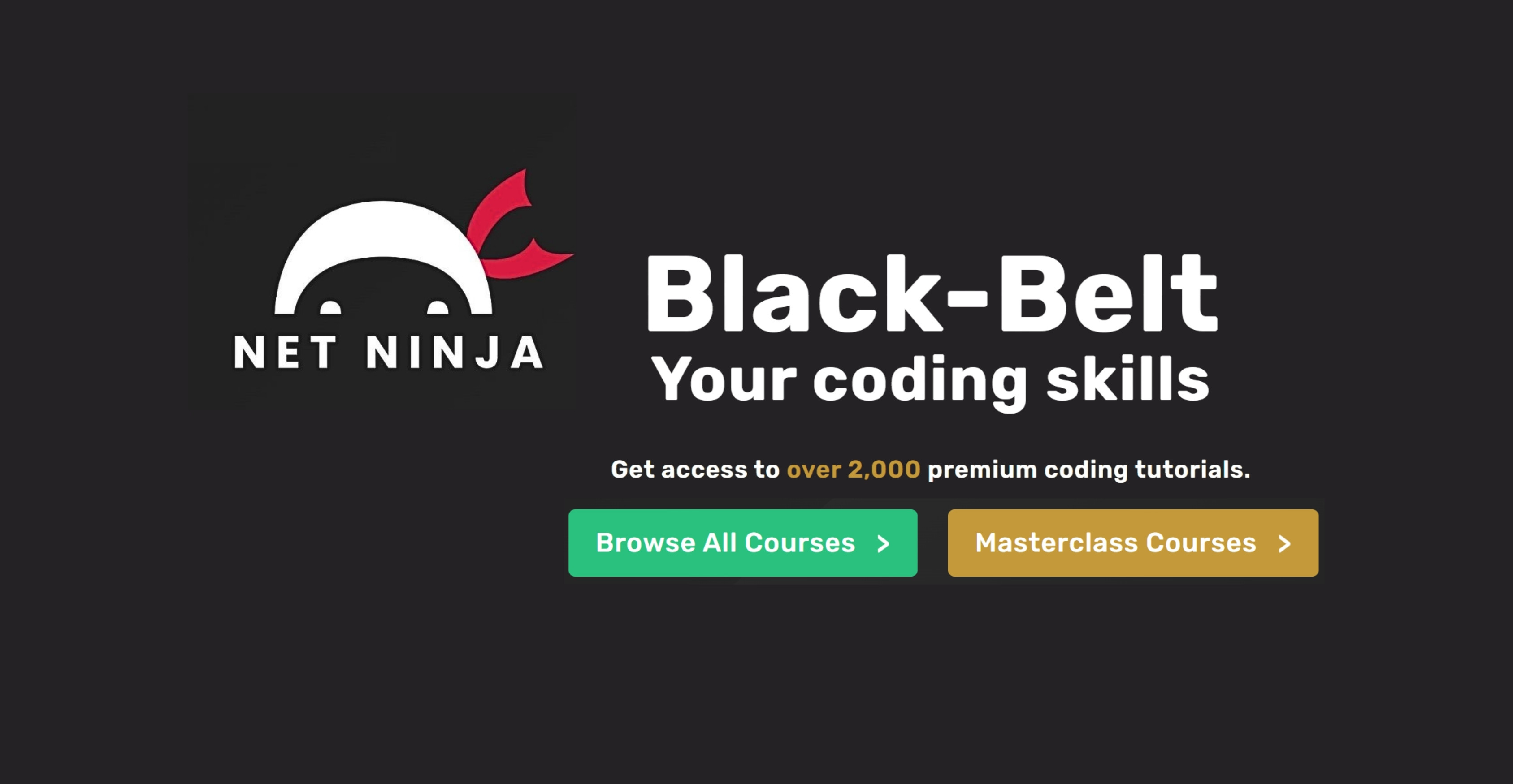 Net Ninja Pro branding on a dark background