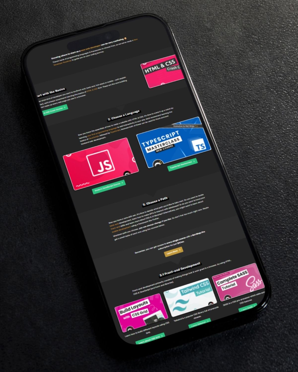 Net Ninja landing page or email creative