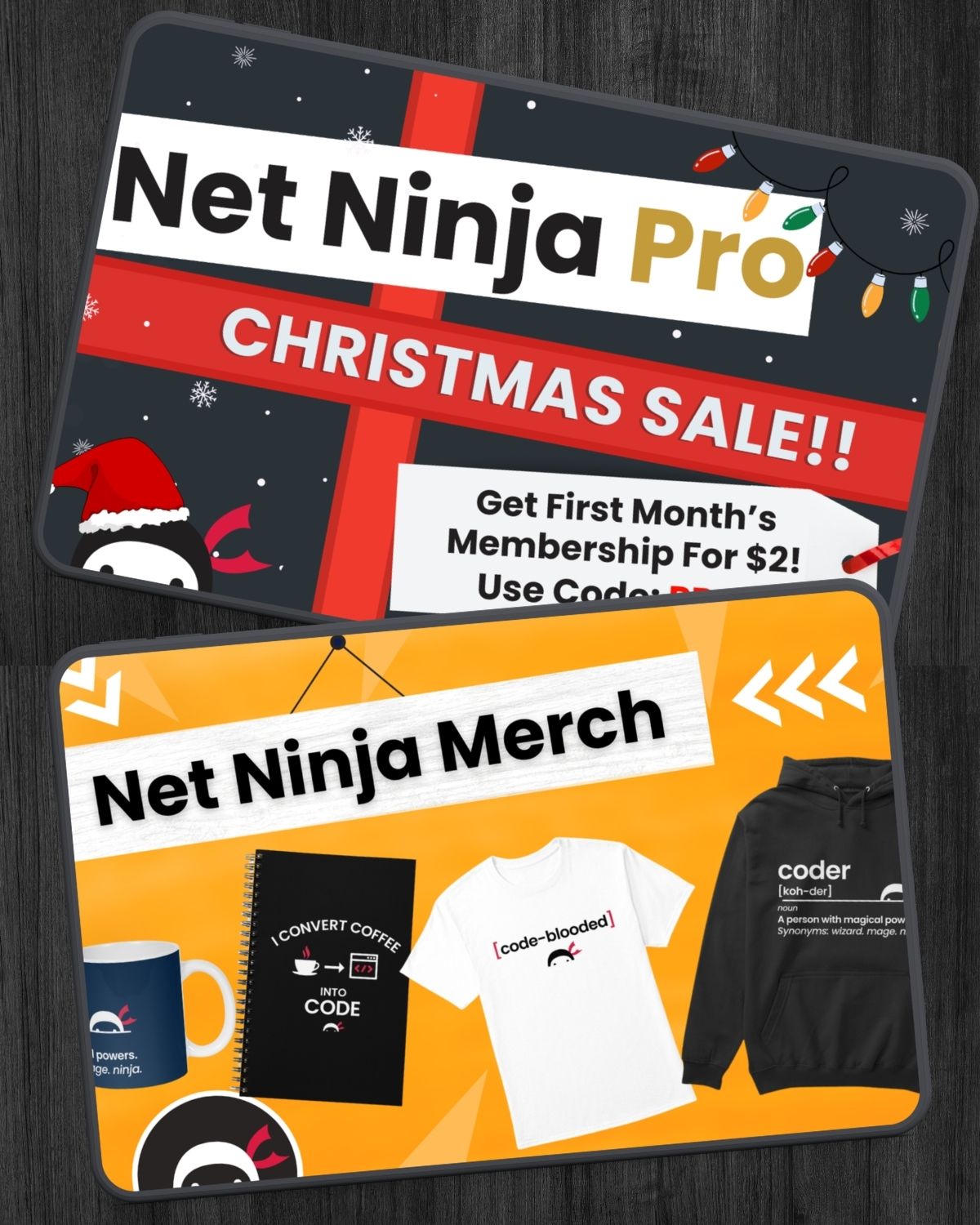 Net Ninja website or funnel screen