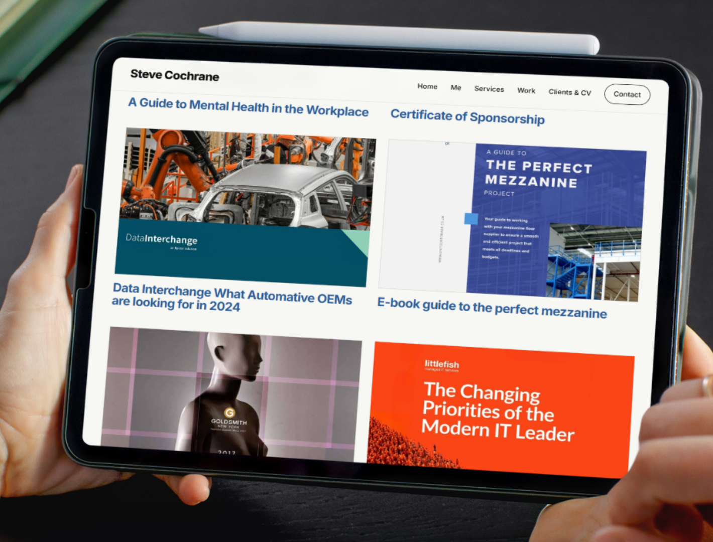 Steve Cochrane website services page